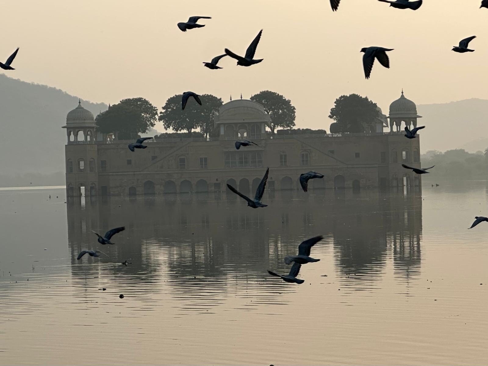 Jal Mahal palace at dawn — birds sweeping across the lake, Rajasthan