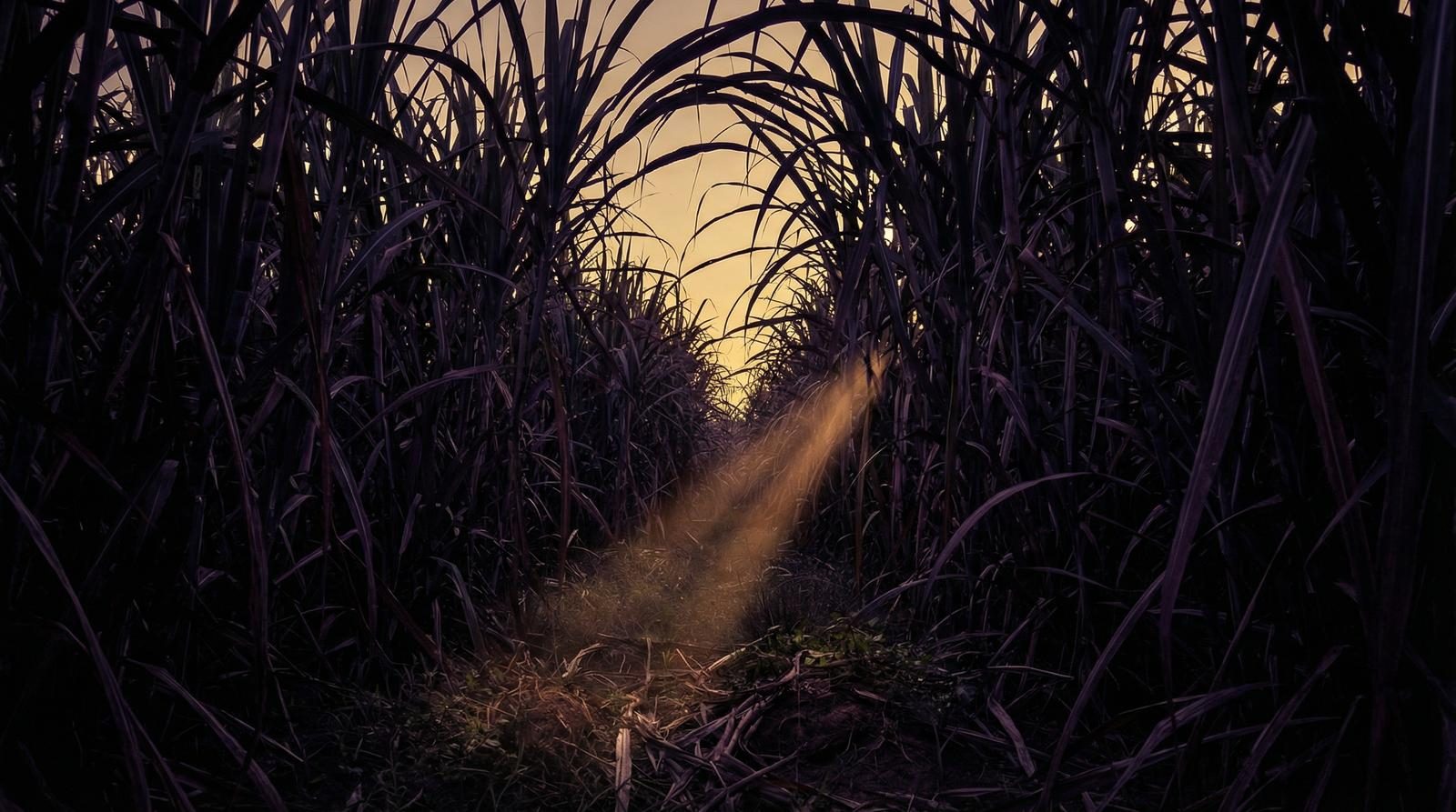 Shadow play in a dark back alley — the hidden margins of the Black Country